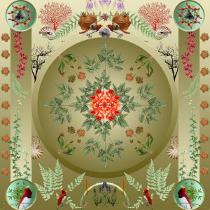 Tempus 50x50   